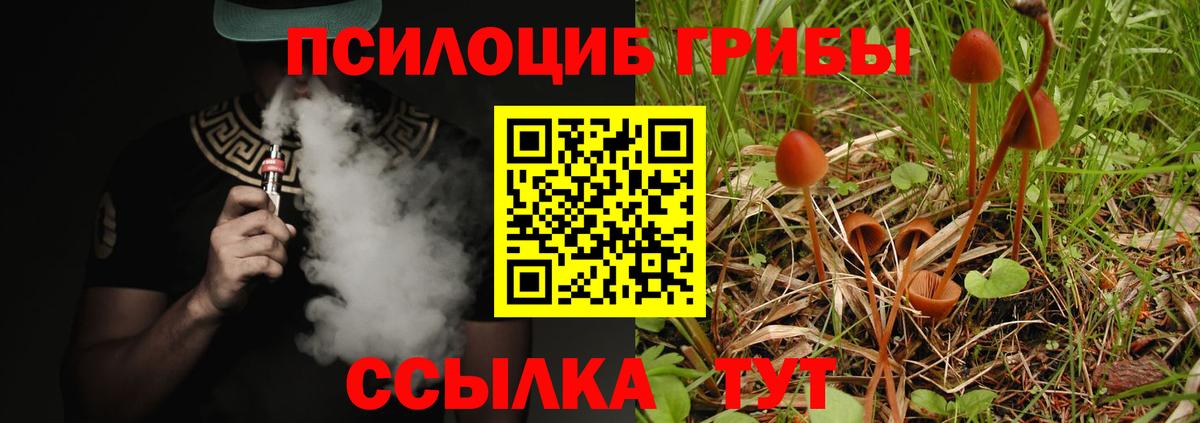Псилоцибиновые грибы прущие грибы Домодедово