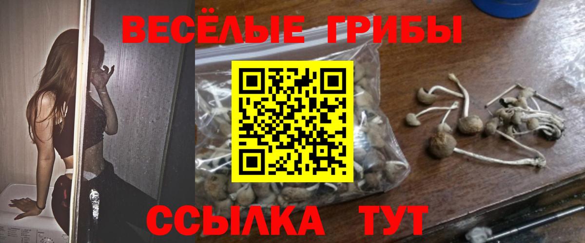 Домодедово  Псилоцибиновые грибы GOLDEN TEACHER  что такое наркотик  Вход с VPN 